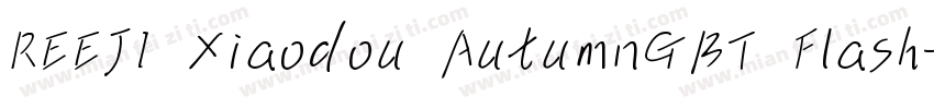 REEJI Xiaodou AutumnGBT Flash字体转换